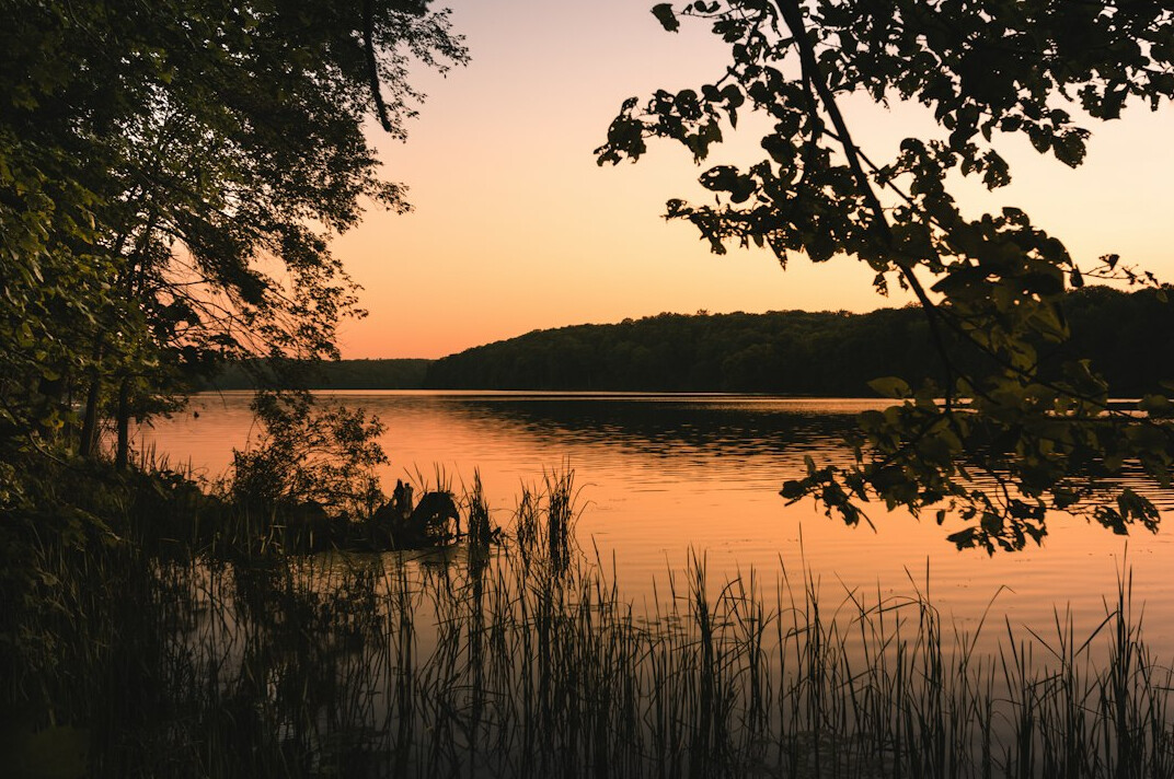 Calm lake with forested shore and wooden pier at sunrise